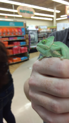 Pet Supply Store «Petco Animal Supplies», reviews and photos, 1015 Fording Island Rd, Bluffton, SC 29910, USA