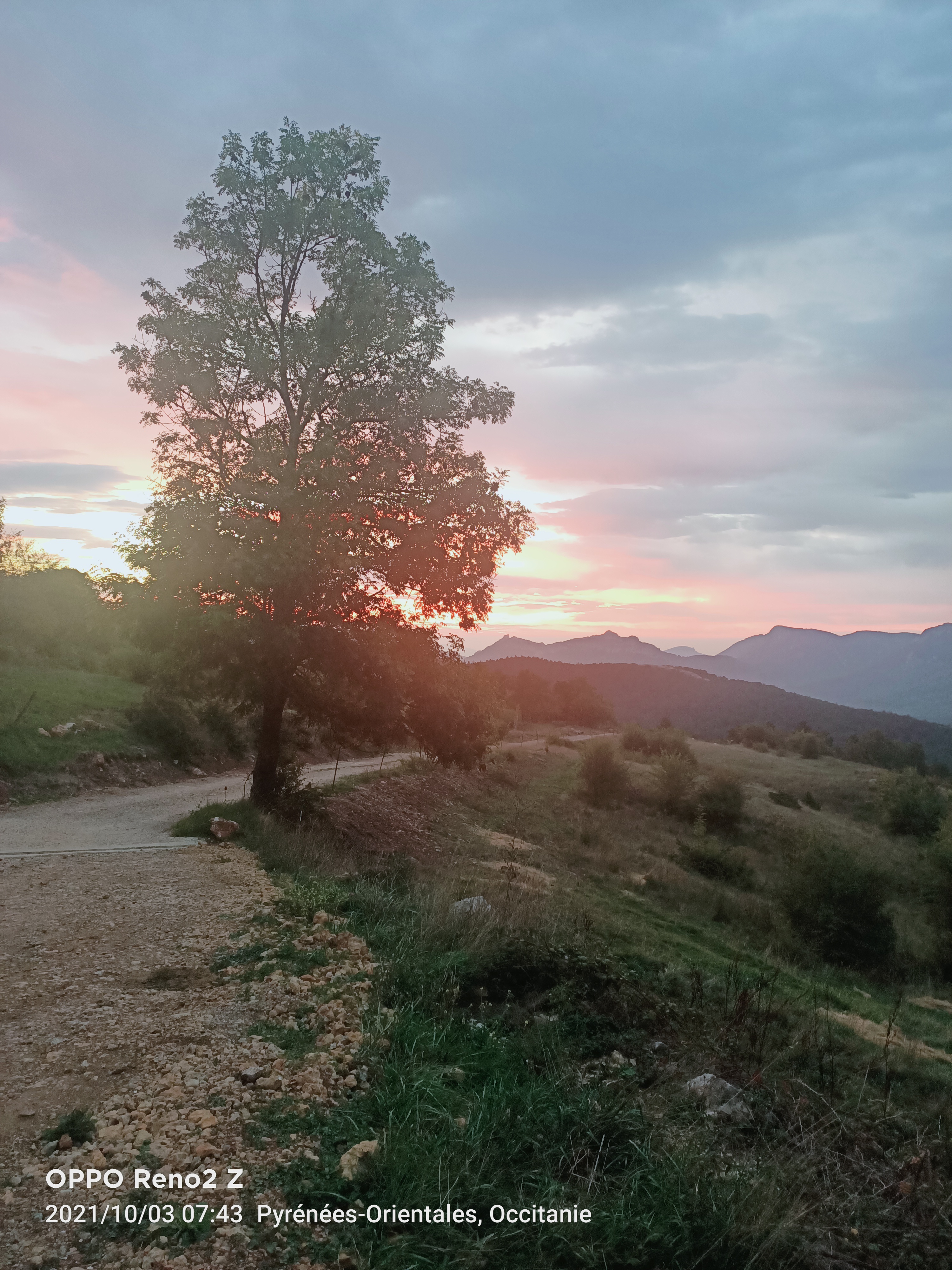 Photo n° 2 de l'avis de Martine. fait le 17/10/2021 à 00:06