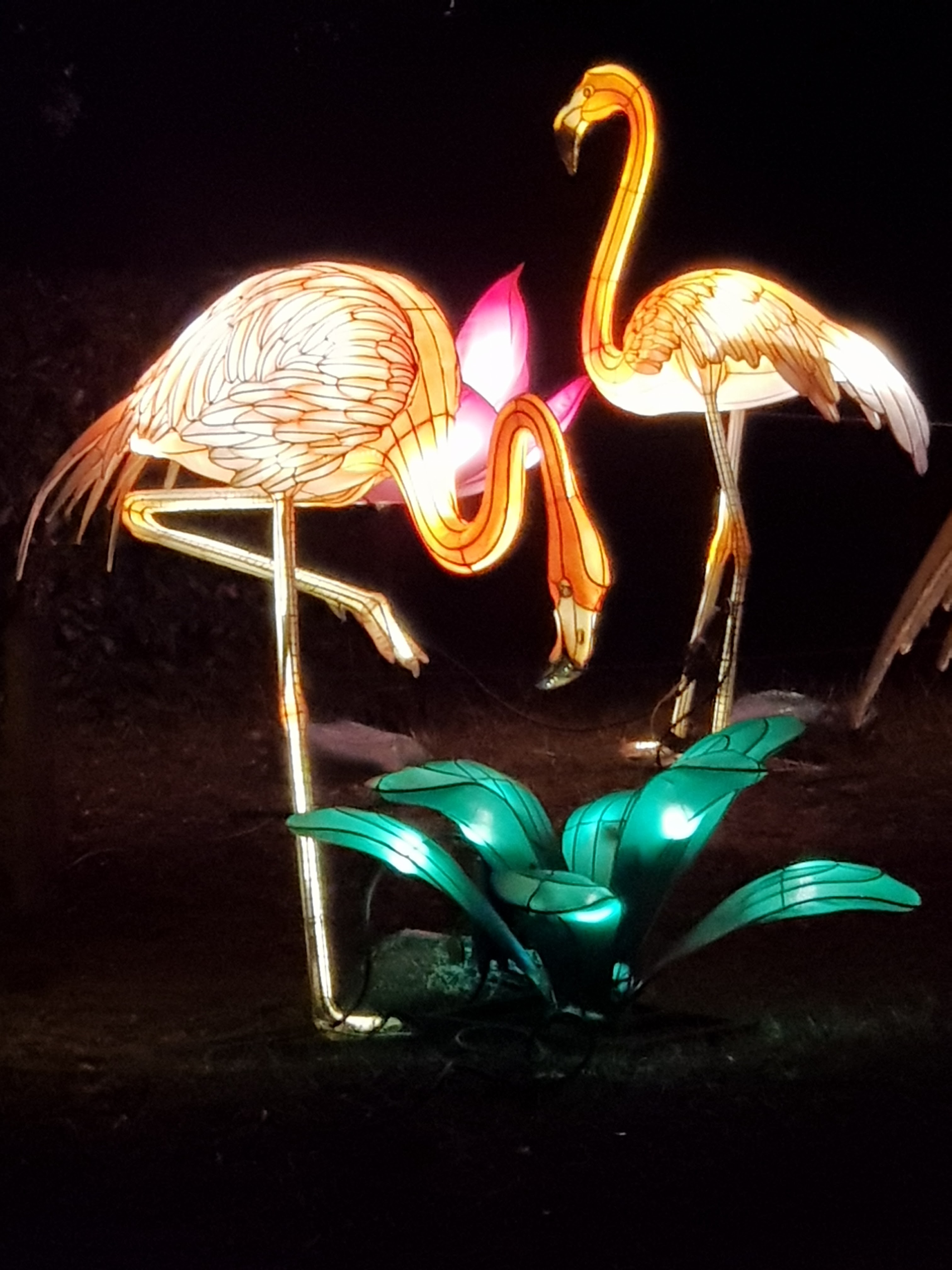 Photo n° 14 de l'avis de AlexBebop. fait le 30/12/2019 à 10:04