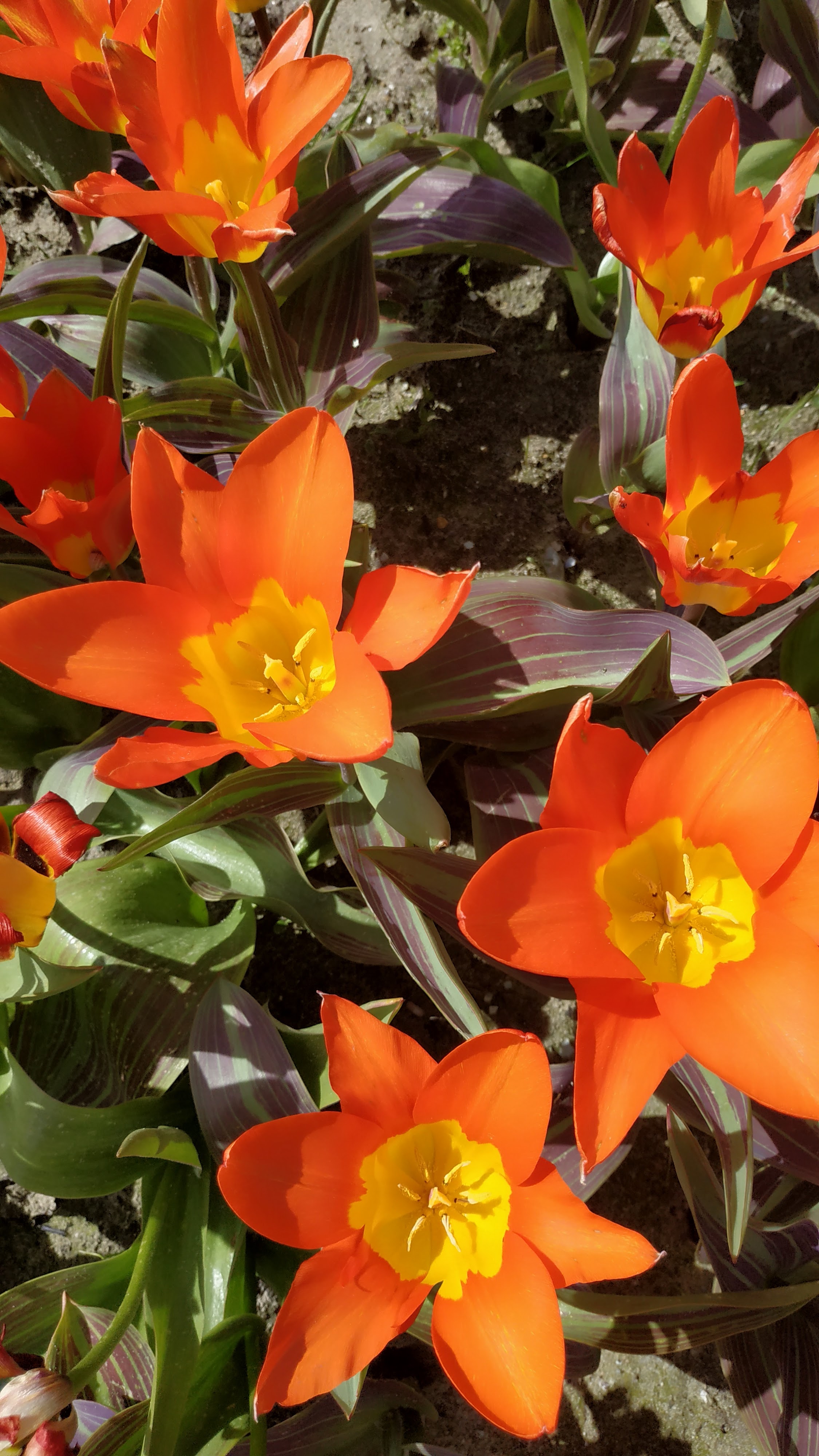 Photo n° 6 de l'avis de The.a fait le 05/04/2023 à 21:57