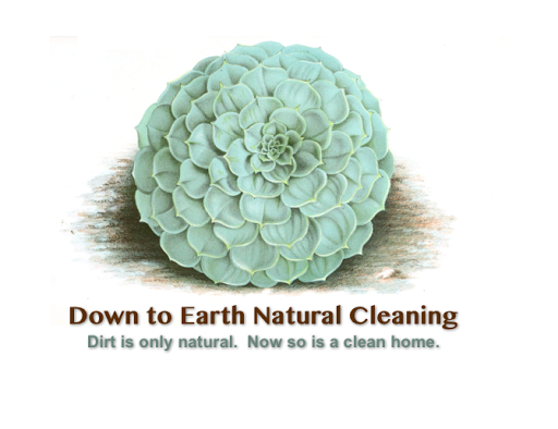 Down to Earth Natural Cleaning in Lawrence, Kansas