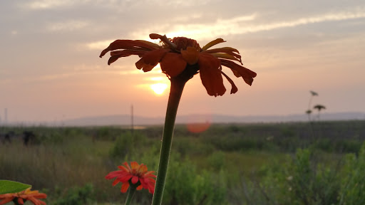 Nature Preserve «Sandy Point Bird Sanctuary», reviews and photos, Beach St, West Haven, CT 06516, USA