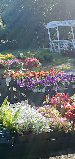 Florist «Hanover Floral Company», reviews and photos, 61 Ridgedale Ave, East Hanover, NJ 07936, USA