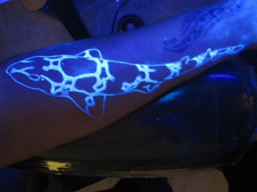Explore cinderella tattoo ideas, creative tattoo ideas in Honolulu, available at Rock Star Tattoos & Piercings