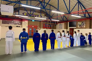Pallister Park Centre- Middlesbrough Judo image