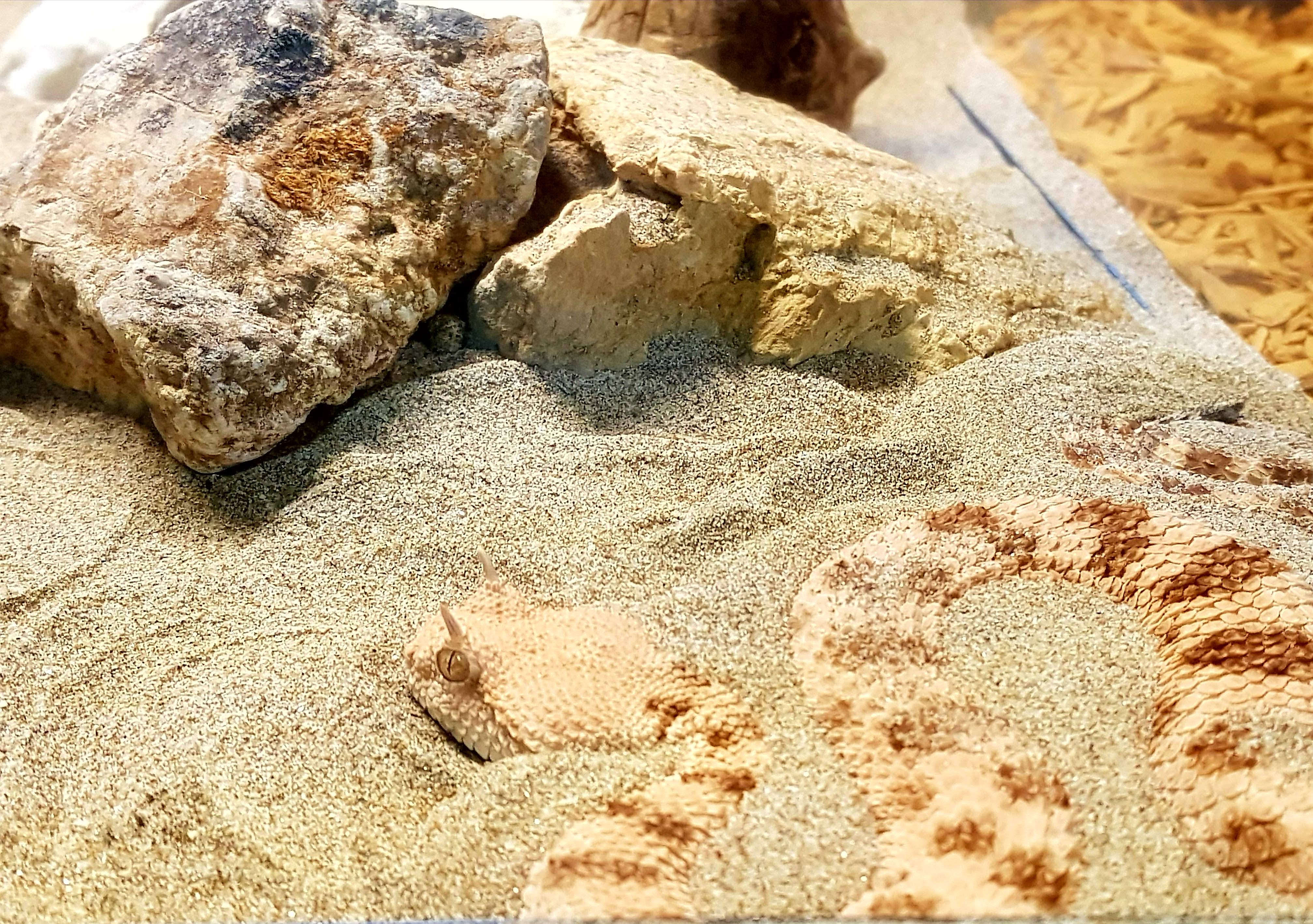 Photo n° 1 de l'avis de Aurore.u fait le 15/09/2017 à 07:53