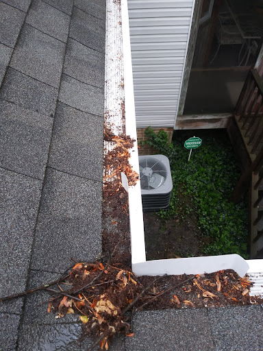 Murphy's Gutter and Roof Cleaning