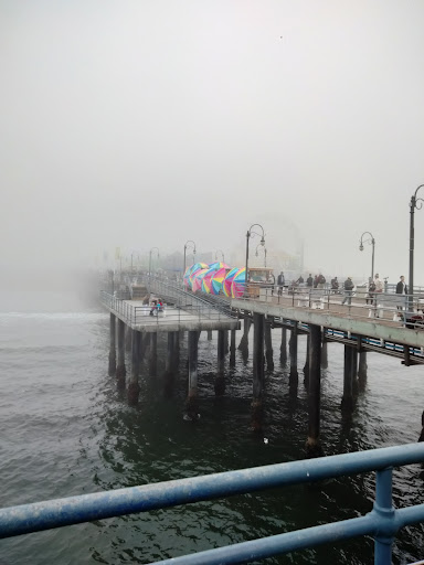 Pet Supply Store «Unleashed by Petco», reviews and photos, 1402 Wilshire Blvd, Santa Monica, CA 90403, USA