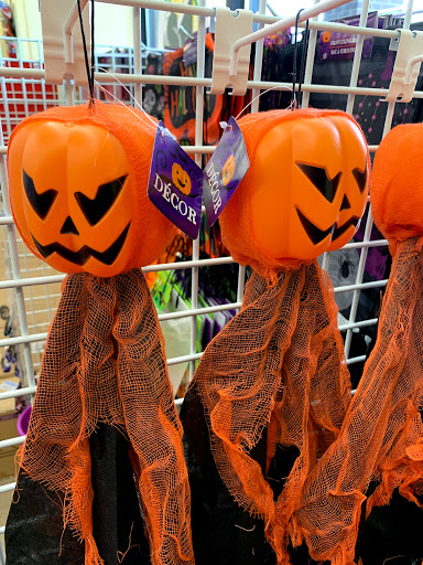 Dollar Store «Dollar Tree», reviews and photos, 1044 S Main St, Chelsea, MI 48118, USA