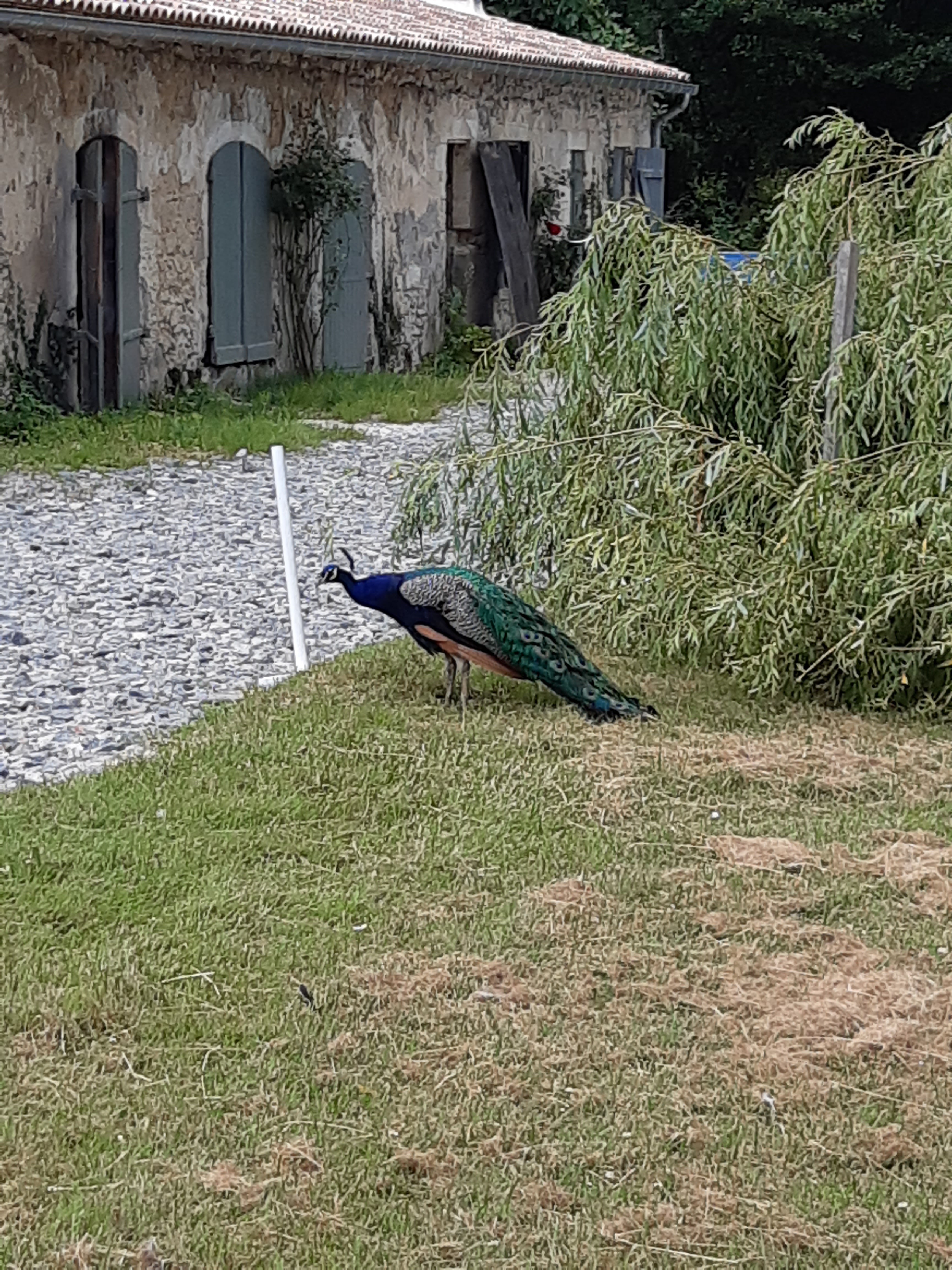 Photo n° 4 de l'avis de Philippe.A fait le 24/07/2021 à 21:24
