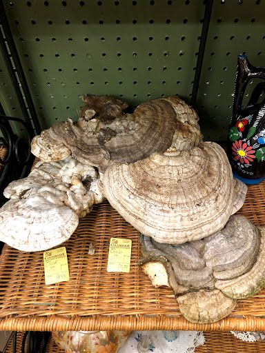 Craft Store «Countryside Craft Mall», reviews and photos, 40700 Van Dyke Ave, Sterling Heights, MI 48313, USA