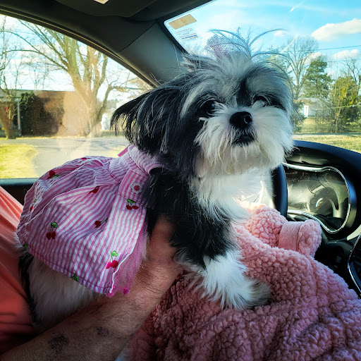 Department Store «Walmart Supercenter», reviews and photos, 310 W 5th St, Benton, KY 42025, USA