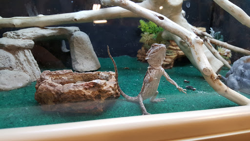 Pet Supply Store «PetSmart», reviews and photos, 2801 Pine Lake Rd, Lincoln, NE 68516, USA