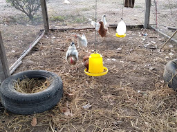 TT Infinity Organic Farm