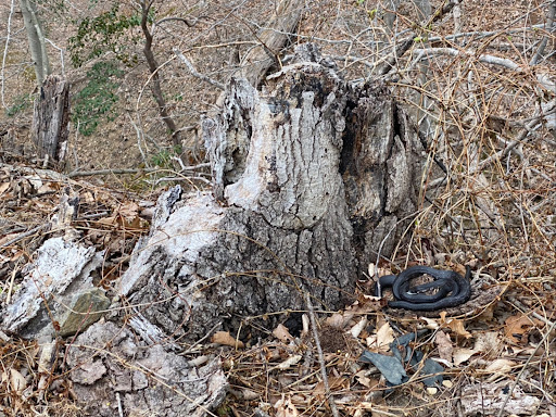 Golf Course «Pohick Bay Golf Course», reviews and photos, 10301 Gunston Road, Lorton, VA 22079, USA