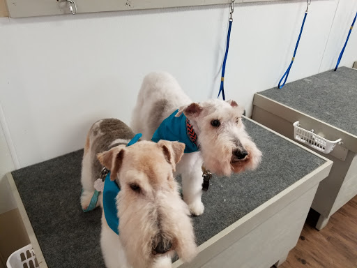 Pet Groomer «U Dirty Dog», reviews and photos, 232 Stevens Entry, Peachtree City, GA 30269, USA