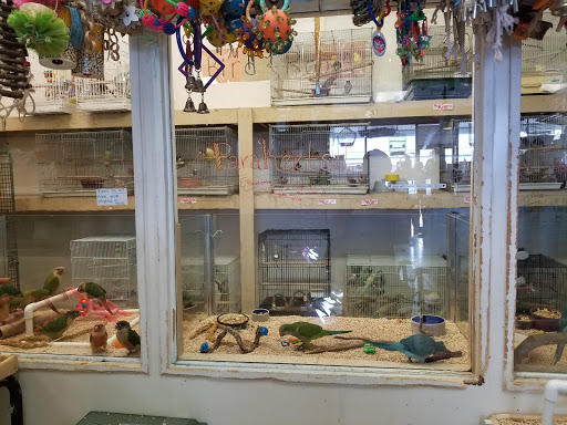 Pet Store «Fosters Exotic Pet Center», reviews and photos, 40116 US Hwy 19 N, Tarpon Springs, FL 34689, USA