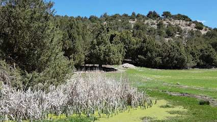 FUENTE DEL TIO ACERO