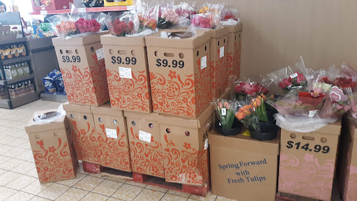 Supermarket «ALDI», reviews and photos, 1702 Brady St, Davenport, IA 52803, USA