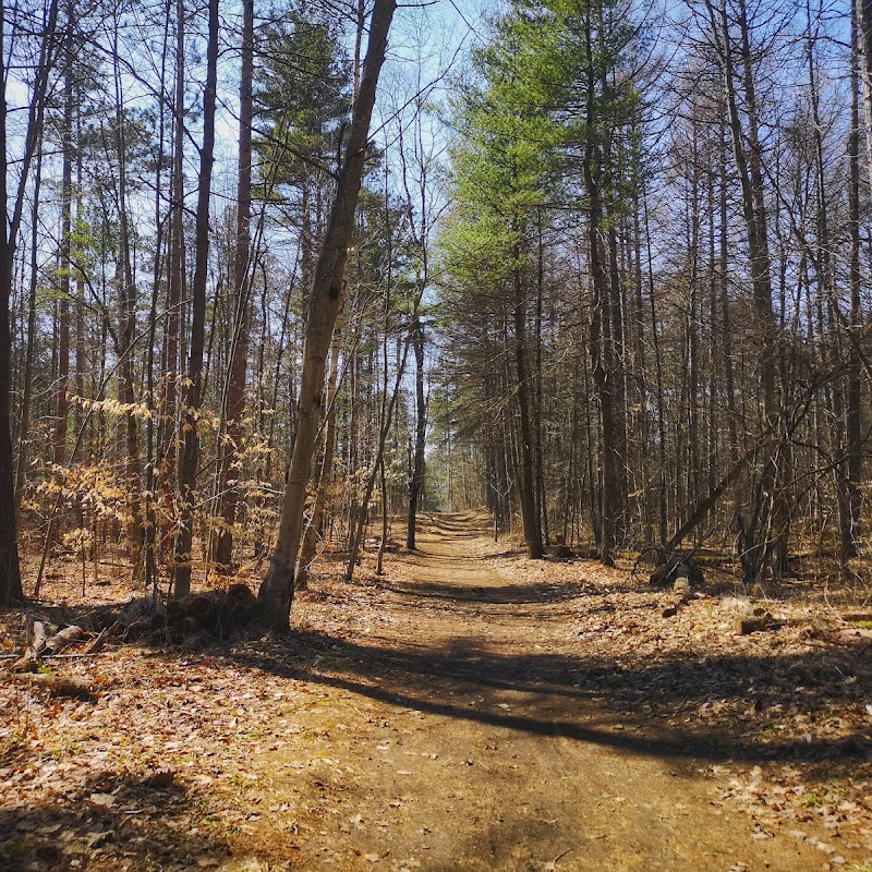 Durham Regional Forest