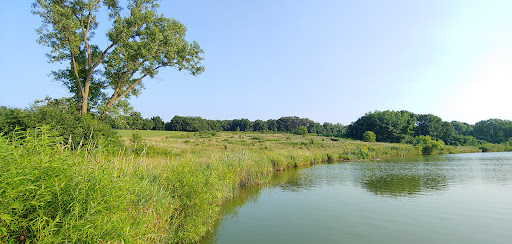 Nature Preserve «Bullfrog Lake», reviews and photos, 9600 Wolf Rd, Willow Springs, IL 60480, USA