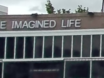 Imagined Life