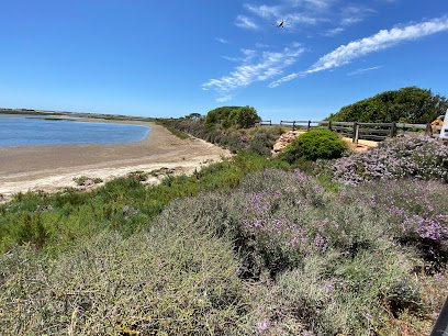 Ria Formosa