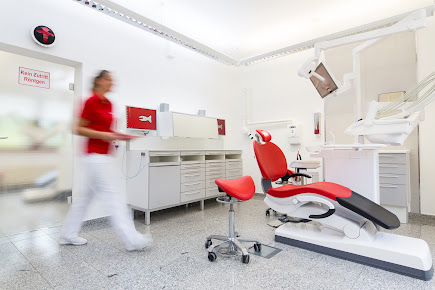 Dentist Alexander Fischer, Berlin - Dentist Alexander Fischer, Berlin