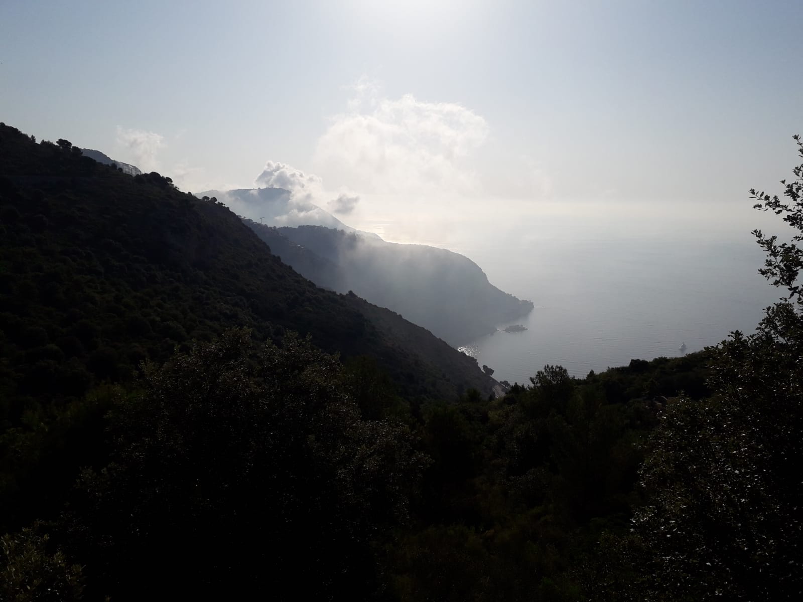 Photo n° 2 de l'avis de Dec.n fait le 19/08/2020 à 07:30