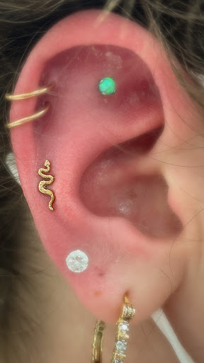 Explore inside arm tattoo ideas, creative tattoo ideas in Sarasota, available at Z-Edge Tattoo and Body Piercing North Shop