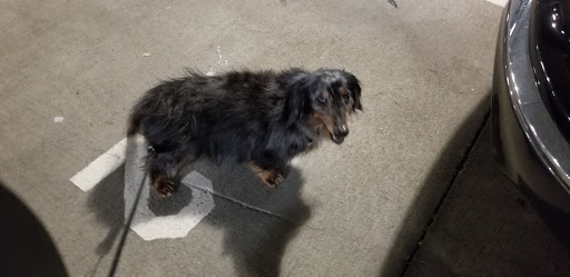 Pet Supply Store «Petco Animal Supplies», reviews and photos, 475 S Wadsworth Blvd, Lakewood, CO 80226, USA