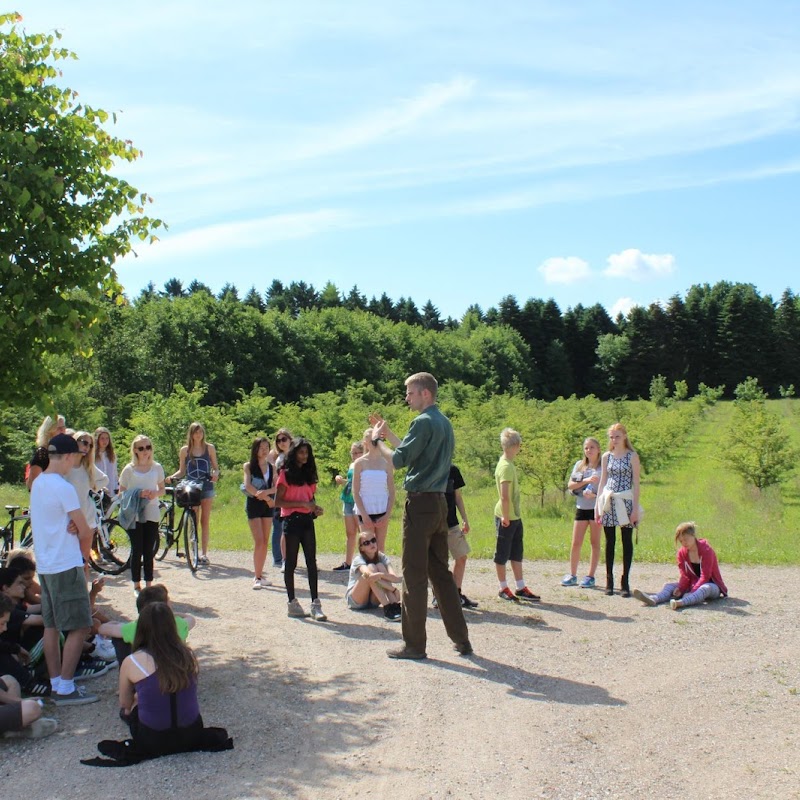 Skolenivirkeligheden.dk