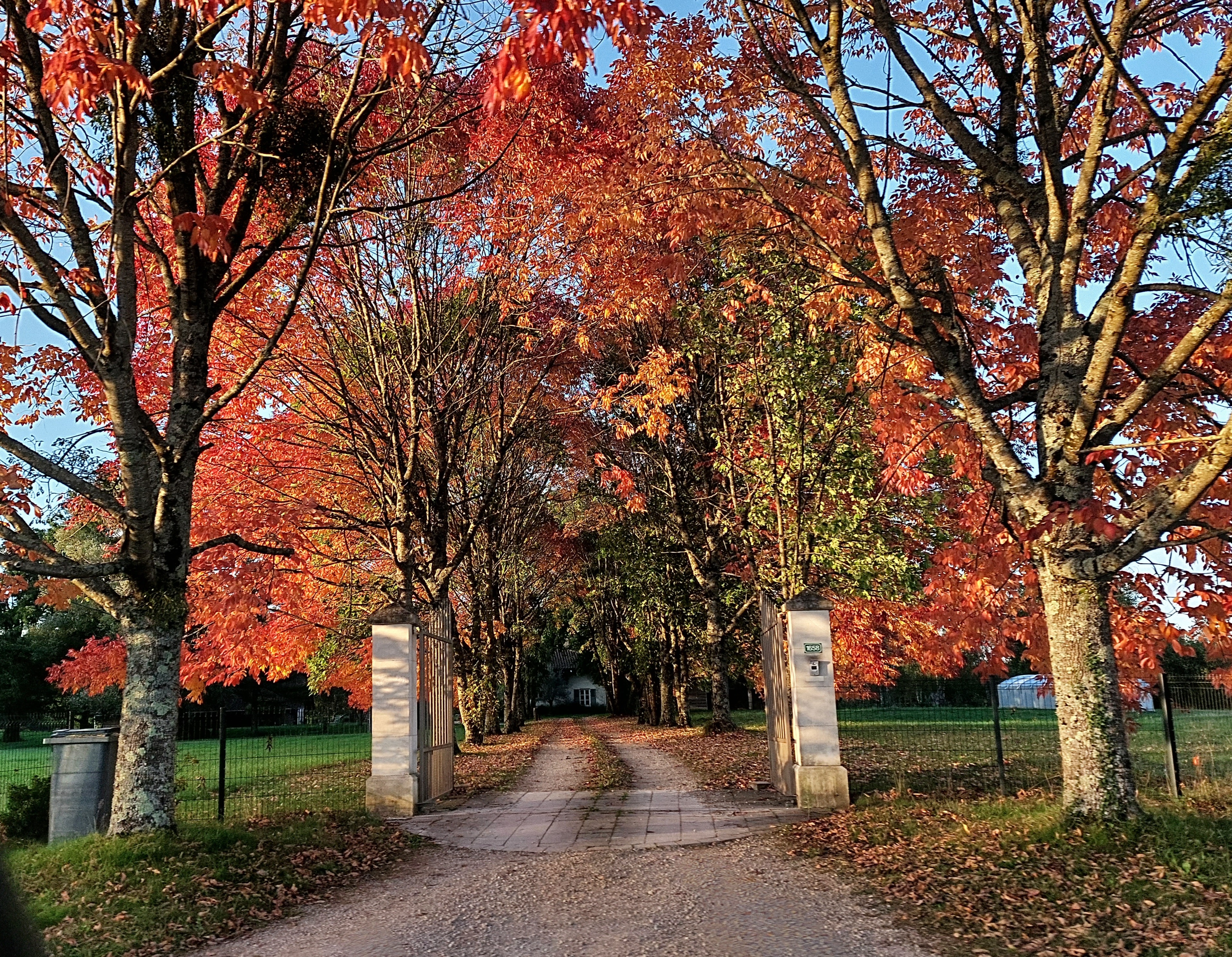 Photo n° 1 de l'avis de Nico.p fait le 06/10/2022 à 18:46