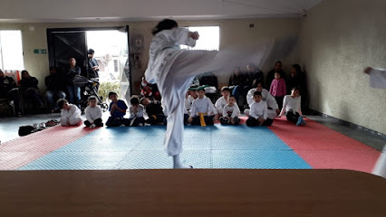 VTC Taekwondo Místico