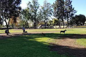 Baldy View Dog Park image