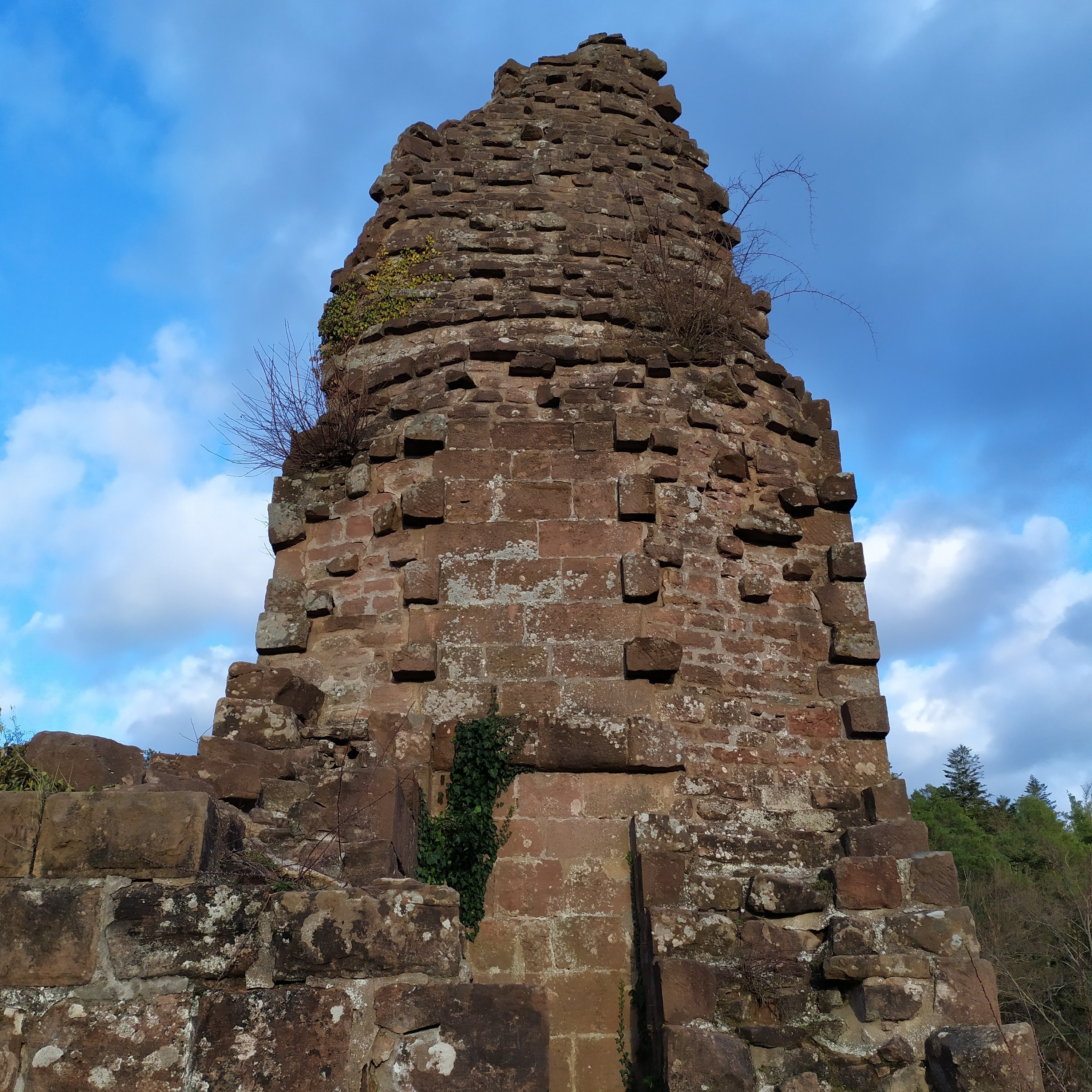 Photo n° 12 de l'avis de Toto.i fait le 21/03/2021 à 20:20