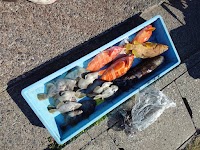 🚢 げんべい丸 🚢