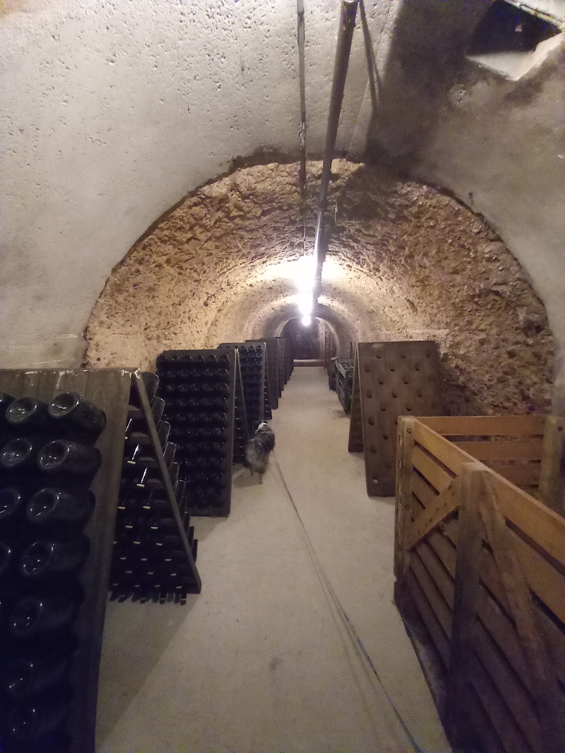 Photo n° 1 de l'avis de Yola.a fait le 30/10/2022 à 12:30
