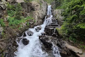 Spruce Creek Trail (Dillon Ranger District) image