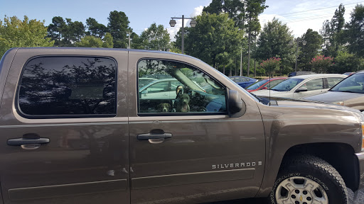 Pet Supply Store «Petco Animal Supplies», reviews and photos, 7680 Poplar Ave, Germantown, TN 38138, USA