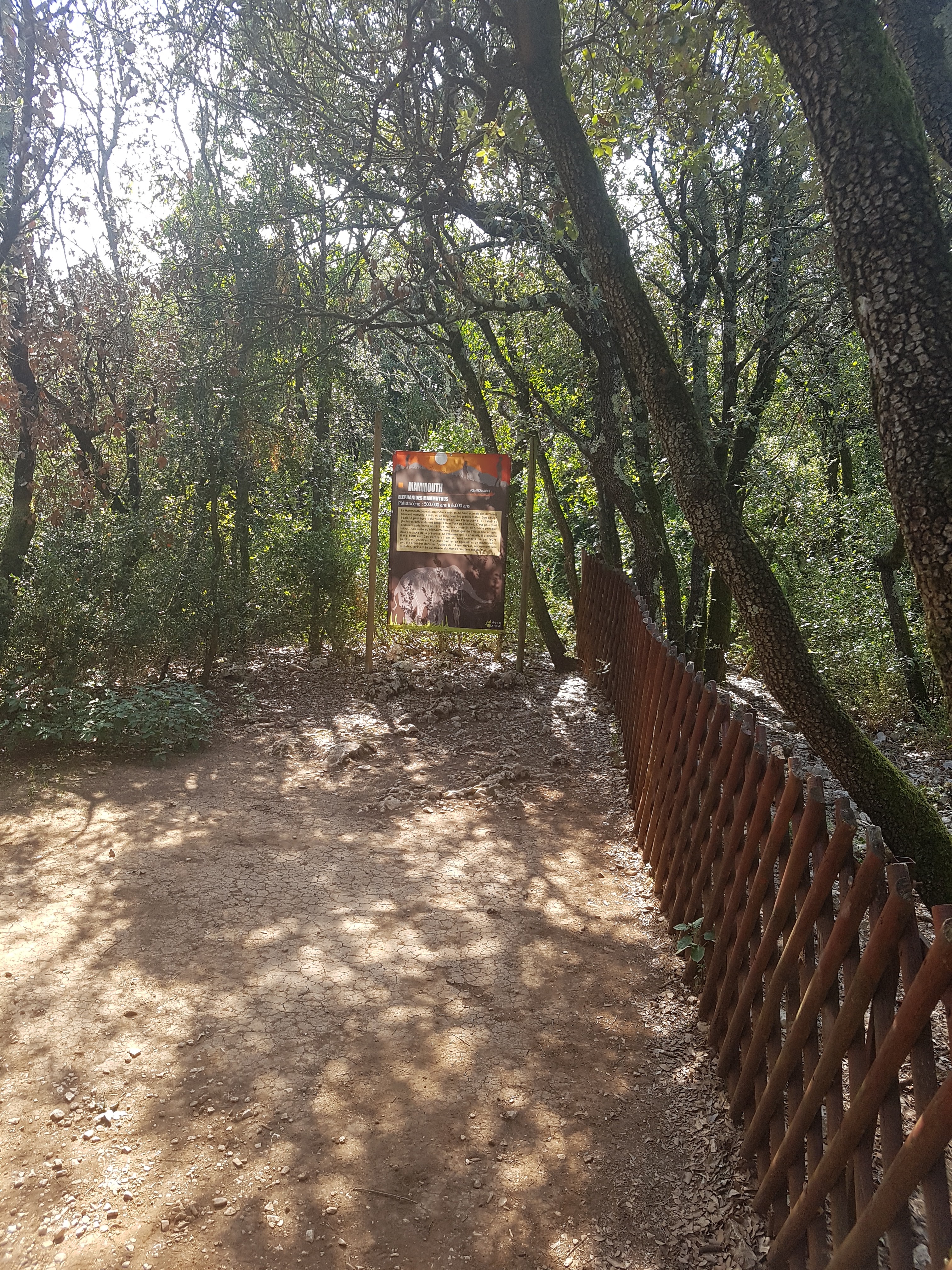 Photo n° 47 de l'avis de Mick.u fait le 05/09/2018 à 21:01
