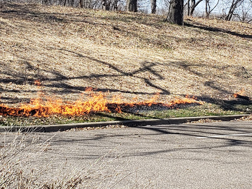 Park «Tony Schmidt Regional Park», reviews and photos, 3500 Lake Johanna Blvd, Arden Hills, MN 55112, USA