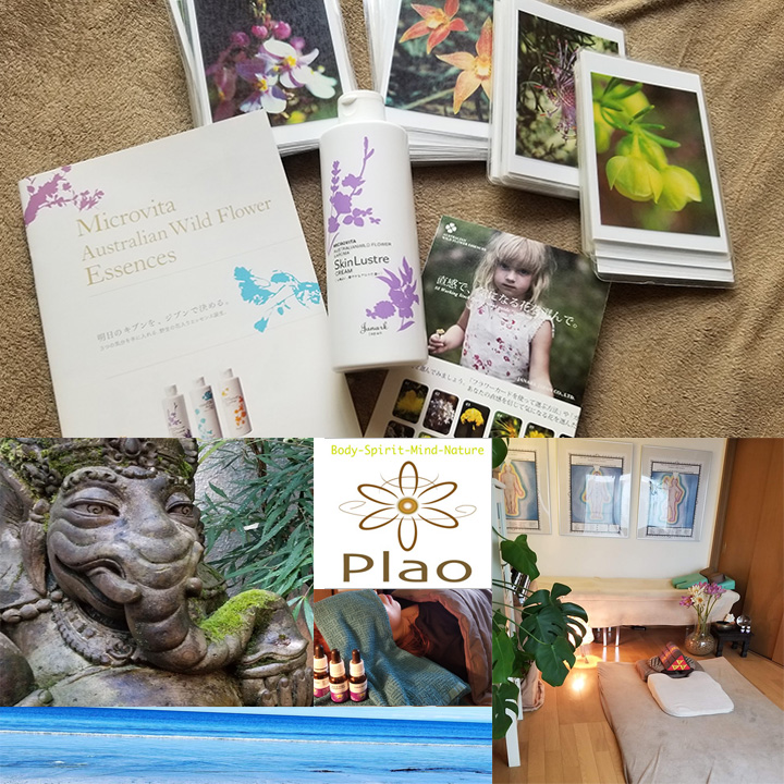 Healing art salon Plao