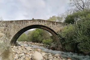 Puente Parral image