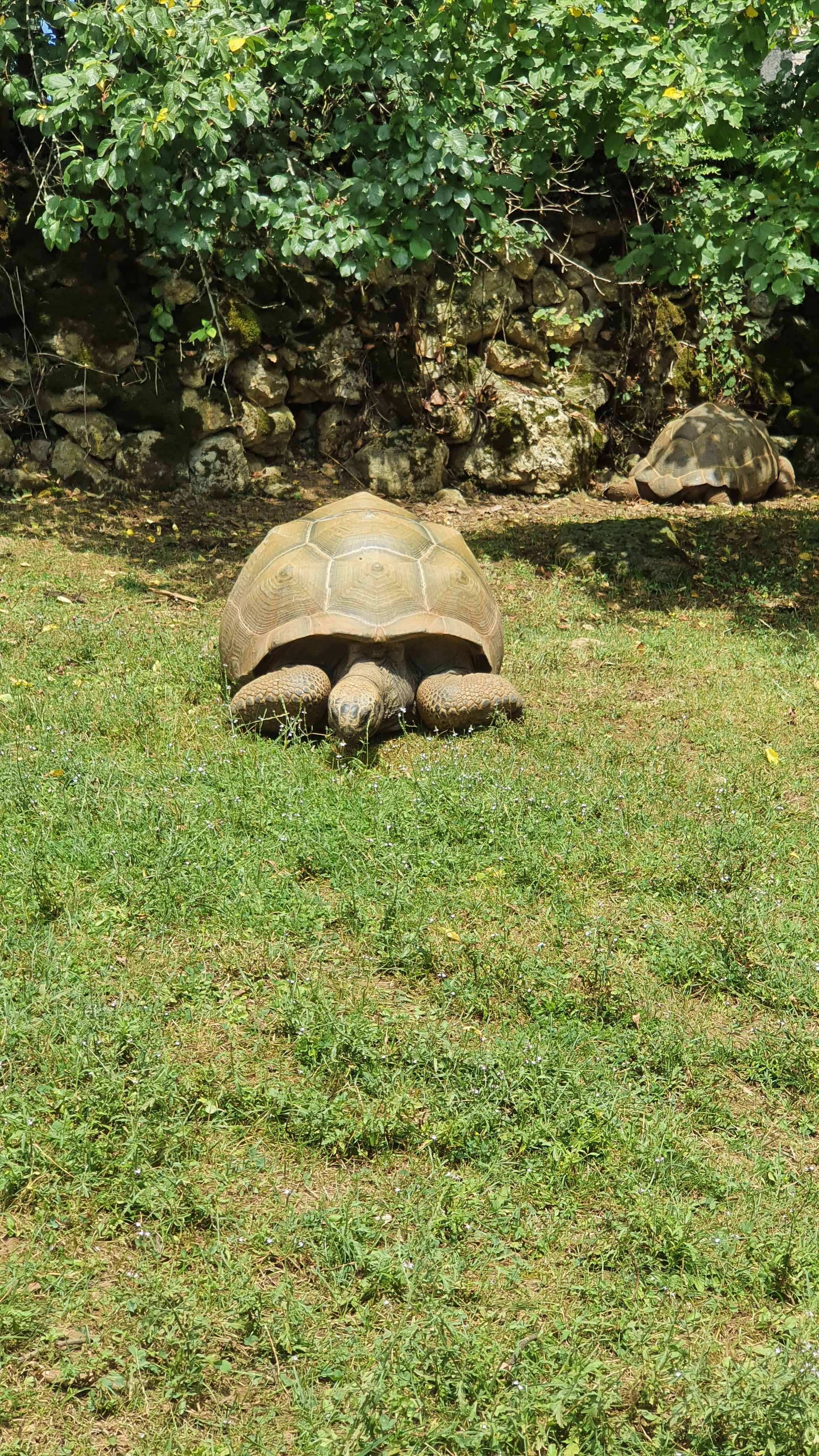 Photo n° 1 de l'avis de Anne.o fait le 27/07/2021 à 15:24