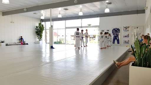 Art of Jiu Jitsu Academy image