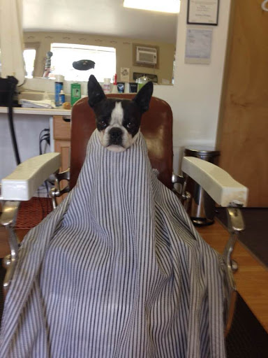 Barber Shop «Clippers Barber Shop», reviews and photos, 6140 Capitol Blvd SE C2, Tumwater, WA 98501, USA