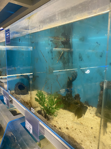 Pet Supply Store «PetSmart», reviews and photos, 1621 E Monte Vista Ave b, Vacaville, CA 95688, USA