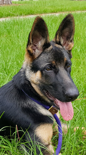 Community Center «University Area Community Center», reviews and photos, 14013 N 22nd St, Tampa, FL 33613, USA