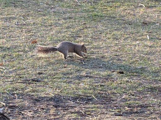 Movie Theater «AMC Loews Boston Common 19», reviews and photos, 175 Tremont St, Boston, MA 02111, USA